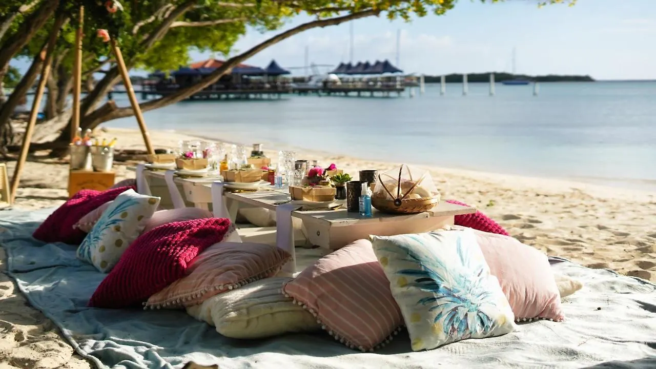 Boroncana 8-E Palm Beach