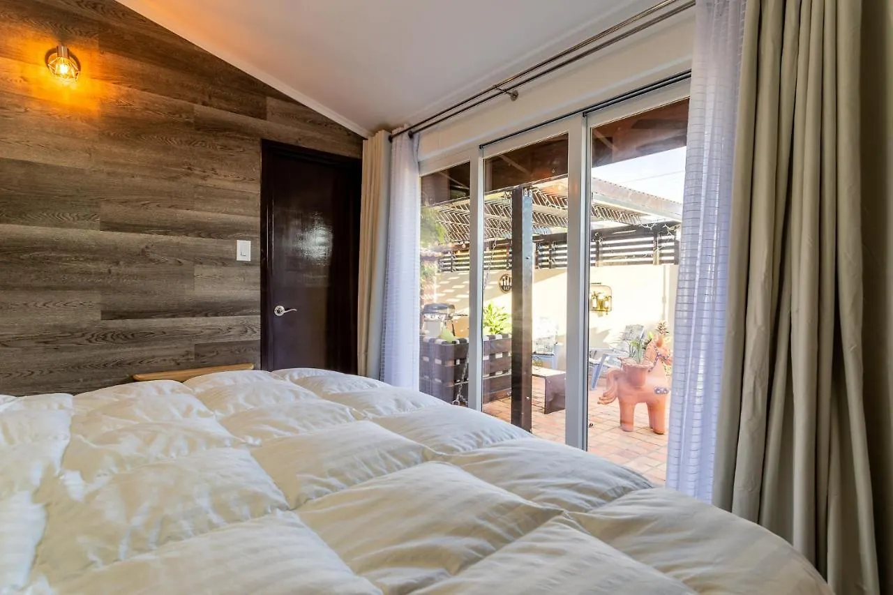 Boroncana 8-E Palm Beach