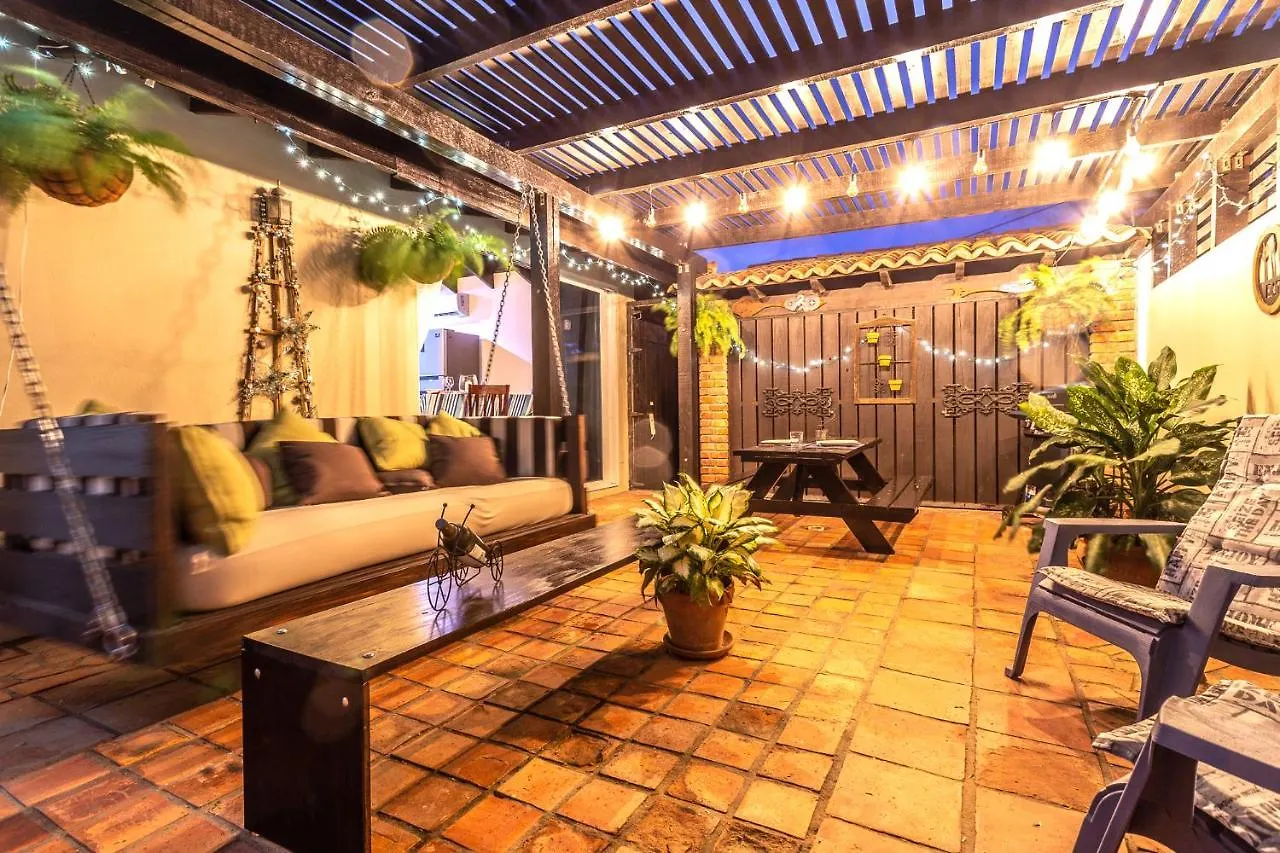 Boroncana 8-E Palm Beach